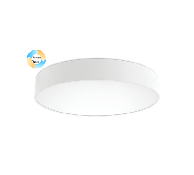 Ds 1046 Lot Tw Header